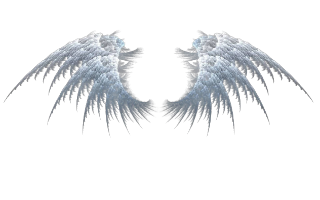 Intricate details of angel wings, symbolizing the purity and depth of Angel Healing practices.